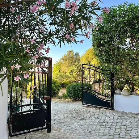 Casa De Limoeiro - Countryside Feriehus