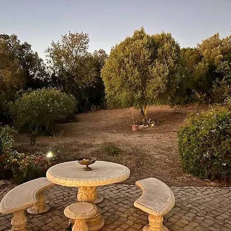 Holiday home Casa De Limoeiro - Countryside With Annexe