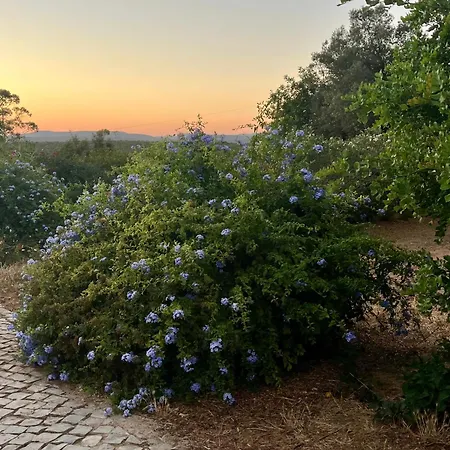 Casa De Limoeiro - Countryside With Annexe Holiday home